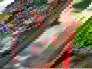 Promo Faces By Shay Face Painter Surrey