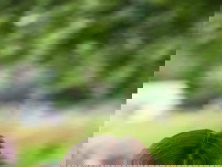 Promo Faces By Shay Face Painter Surrey