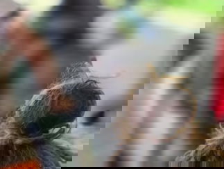 Promo Faces By Shay Face Painter Surrey