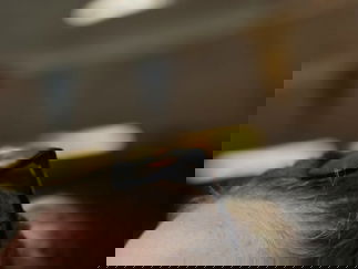 Promo Faces By Shay Face Painter Surrey