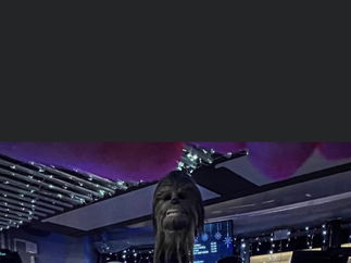 Promo Star Wars - Superhero Icons Costume Character Staffordshire