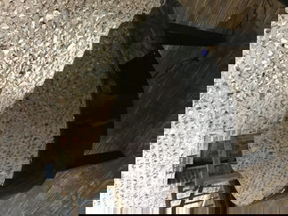 Promo Charlie Mappin Pianist East Sussex