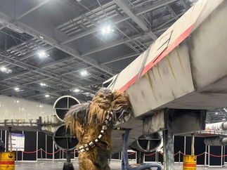 Promo Star Wars - Superhero Icons Costume Character Staffordshire