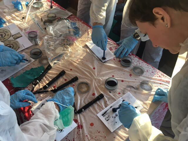 artists similar to G2 CSI Experience