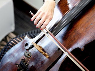 Promo The Rose String Quartet String Quartet Hertfordshire