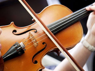 Promo The Rose String Quartet String Quartet Hertfordshire