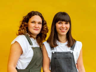 Promo Ace of Harps Harp Duo / Vocal Duo Lincolnshire