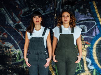 Promo Ace of Harps Harp Duo / Vocal Duo Lincolnshire