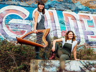 Promo Ace of Harps Harp Duo / Vocal Duo Lincolnshire