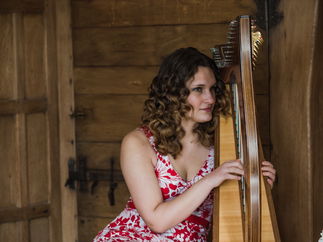 Promo Ace of Harps Harp Duo / Vocal Duo Lincolnshire