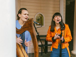 Promo Ace of Harps Harp Duo / Vocal Duo Lincolnshire