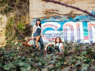 Promo Ace of Harps Harp Duo / Vocal Duo Lincolnshire