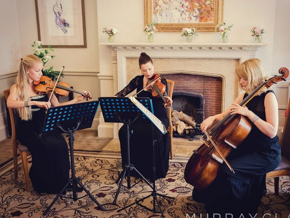 Promo Jasmine Strings String Quartet London