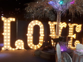 Promo Let There Be Light Light Up Letters & Love Signs Essex