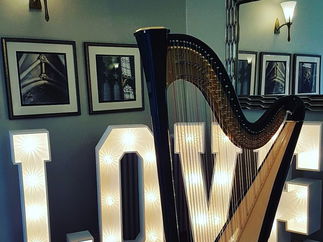 Promo Fiona Hosford (Harpist) Harpist East Sussex