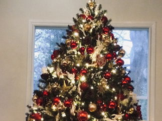 Promo The Rose String Quartet String Quartet Hertfordshire