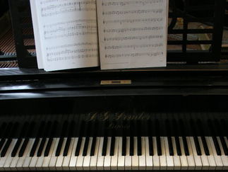 Promo Carlitos Gang Jazz Trio Monmouth