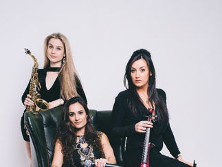 Promo Volts Collective Solo Artist, Duo or Trio Manchester