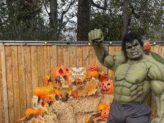 Promo Star Wars - Superhero Icons Costume Character Staffordshire