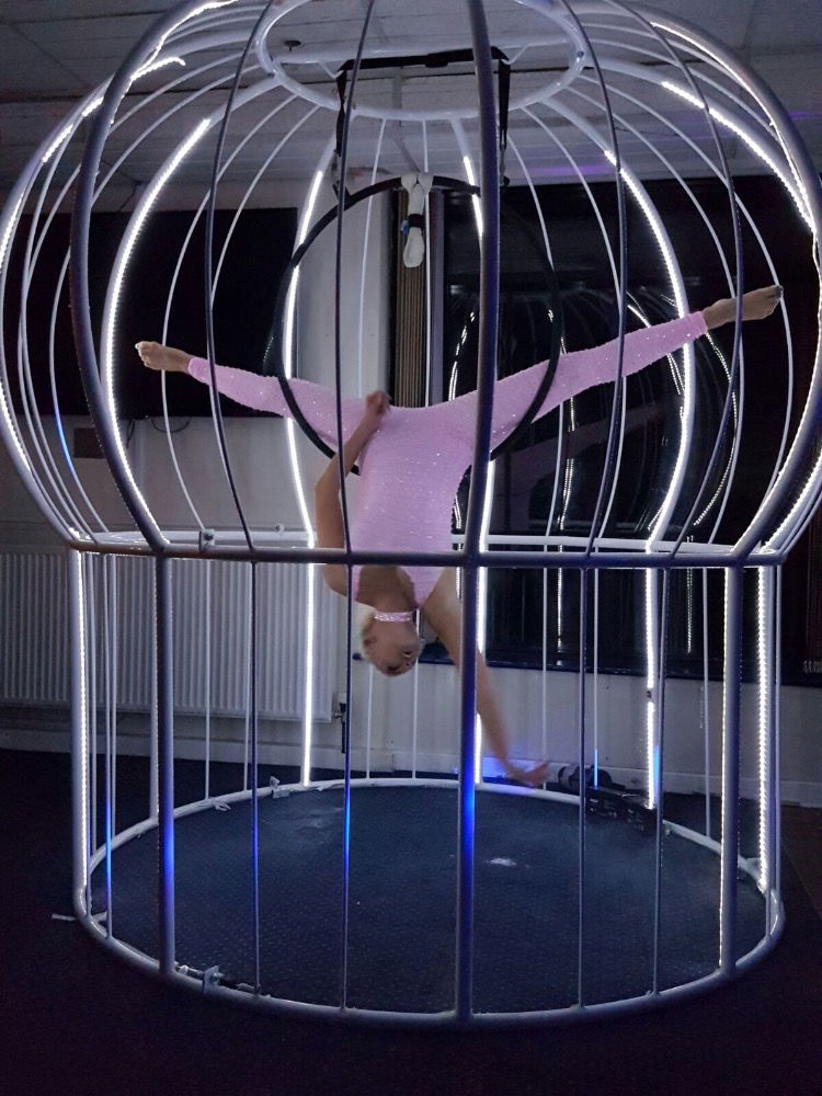 Aerial Bird Cage Aerial Performer Merseyside Alive Network