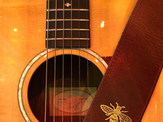 Promo Dylan Dale Solo Singer/ Guitarist Manchester