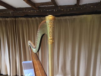 Promo SW Harpist Harpist London