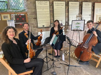 Promo Larkspur Strings String Quartet Manchester