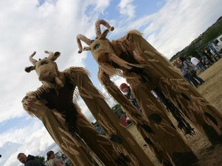 Promo Fiyre Circus Collective Stilt and Fire Performer Staffordshire