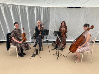 Promo Larkspur Strings String Quartet Manchester