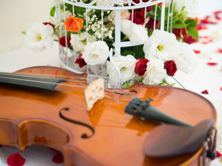 Promo The South Wales String Ensemble String Quartet Vale of Glamorgan