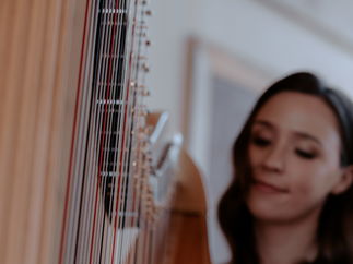 Promo Elegant Harp Harpist Manchester
