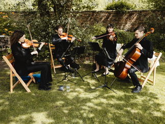 Promo Larkspur Strings String Quartet Manchester