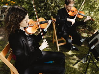 Promo Larkspur Strings String Quartet Manchester