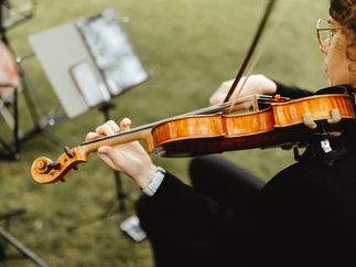 Promo Larkspur Strings String Quartet Manchester