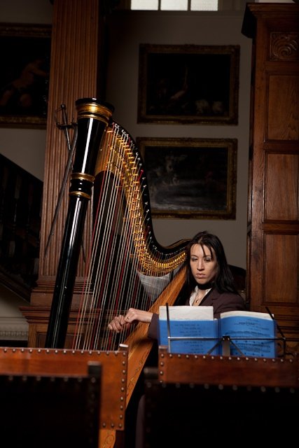 Promo Susanna Harp Harpist Nottinghamshire