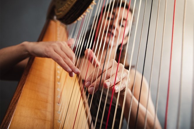 Promo J H Harp (Harpist) Concert Harpist Somerset