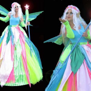 Promo Christmas Entertainers  East Sussex