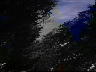 Promo Kateroonia Singer Guitarist Nottinghamshire