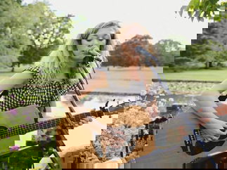 Promo Kelly Barnes Solo Singer Guitarist Northamptonshire