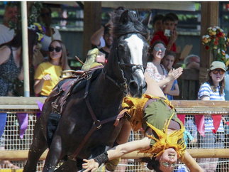 Promo Knight Jousting and Stunt Shows Shows and Productions Warwickshire