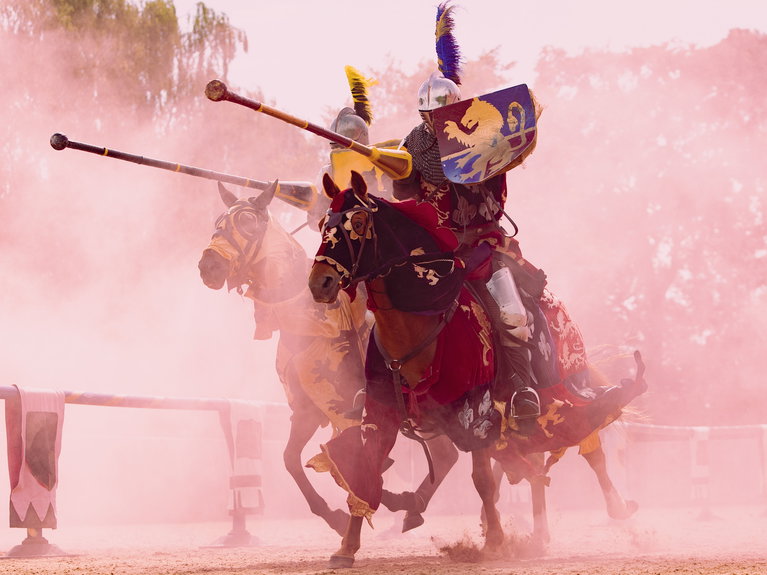 artists similar to Knight Jousting and Stunt Shows