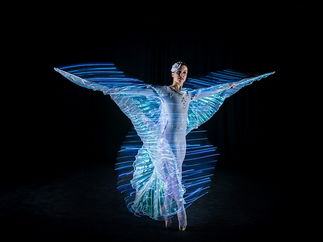 Promo LED Ballerinas Dancer London