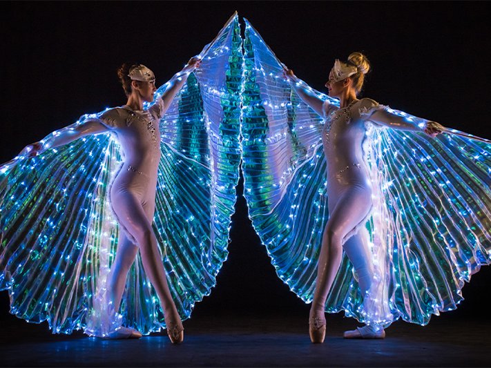 artists similar to LED Ballerinas