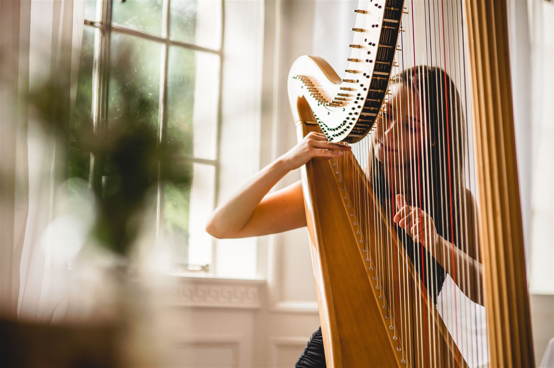 Promo Elegant Harp Harpist Greater Manchester