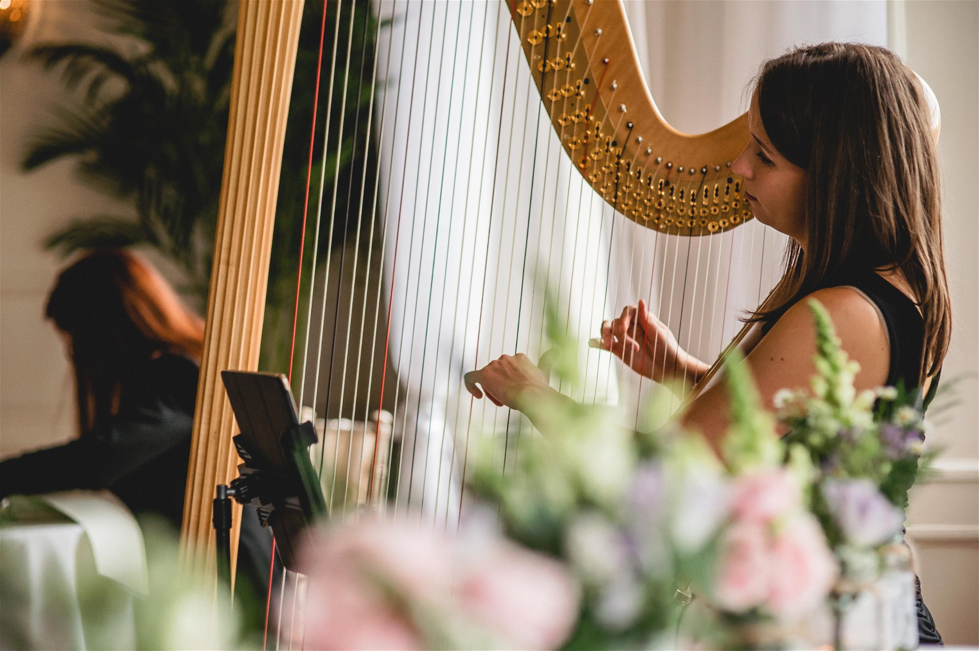 Promo Elegant Harp Harpist Greater Manchester