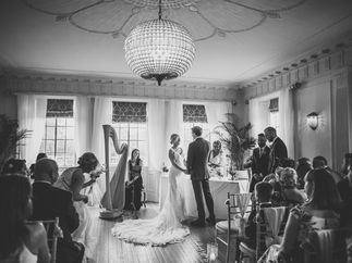 Promo Elegant Harp Harpist Manchester