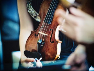 Promo Trafalgar String Quartet String Quartet London