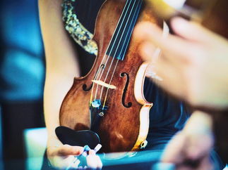 Promo Trafalgar String Quartet String Quartet London