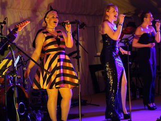 Promo License To Thrill Function Band Hertfordshire