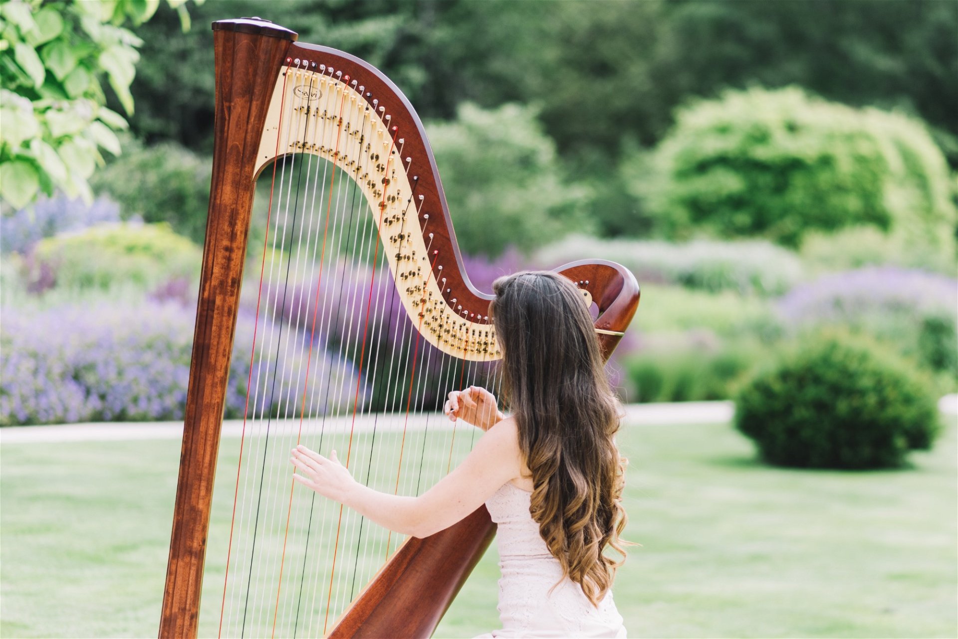 Promo Francesca Harp Harpist East Yorkshire